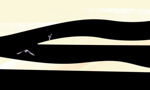 卡特利亚巴是什么药-【卡利是什么植物】卡利亥特是哪座城市 - 非洲卡利特果的功效网